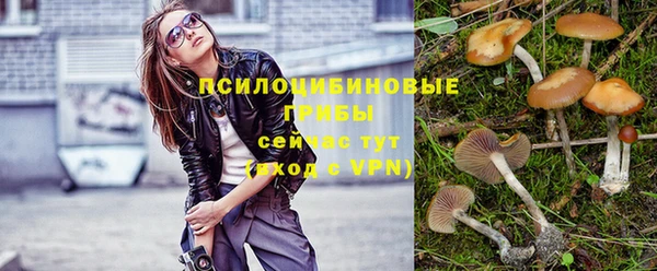 соль курить ск Богородск