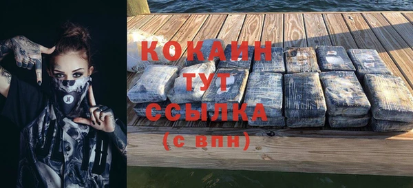 дурь Богородицк