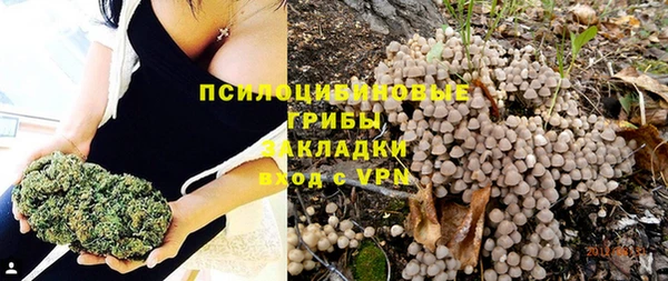 дурь Богородицк