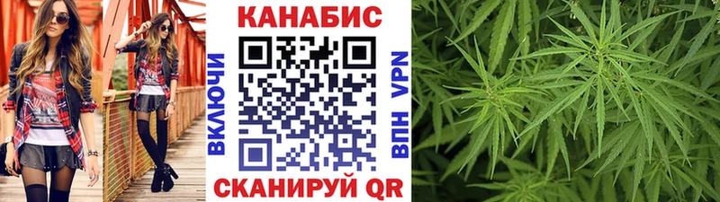 Канабис конопля  Ахтырский 